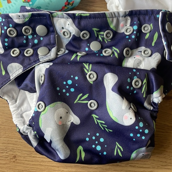All In One Cloth diaper lot: Smart Bottom, TotBots, Glow bug - Picture 2 of 9
